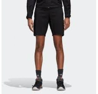 Шорты Adidas Terrex Liteflex CY9093