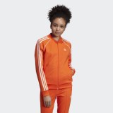 Олимпийка Adidas Originals SST ED7589_image_1