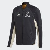 Олимпийка Adidas M VRCT EA0372_image_1