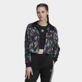 Олімпійка Adidas Bellista EC5772_image_1