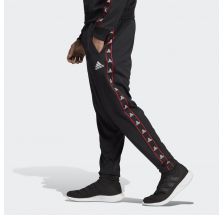 Спортивні штани AdidasTan Tape Clubhouse DW9362