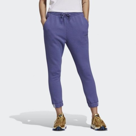 Штани Adidas Originals Coeeze DU2348_image_1
