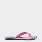 Женские сланцы Adidas Eezay Dots CG3552_image_1
