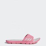  Жіночі сланці Adidas Adipure Cloudfoam Slides CG2813_image_1