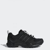Чоловічі кросівки Adidas Terrex R2 Swift GTX CM7492_image_1