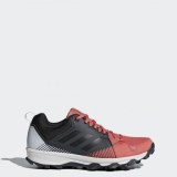 Женские кроссовки Adidas Terrex Tracerocker CM7701_image_1
