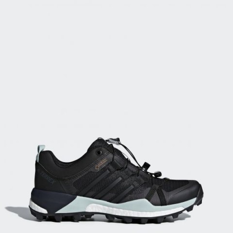 Женские кроссовки Adidas Terrex Skychaser GTX W CQ1744_image_1
