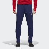 Мужские брюки Adidas Con18 Tr Pnt CV8243_image_1