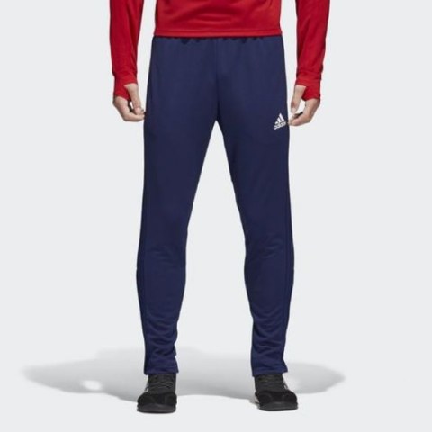 Мужские брюки Adidas Con18 Tr Pnt CV8243_image_1