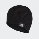 Чоловіча шапка Adidas Perf Beanie CY6025_image_1