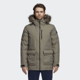  Чоловіча парка Adidas W Xploric Parka CY8603_image_1