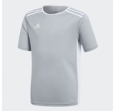 Чоловіча футболка Adidas Afa H Preshi CF1546