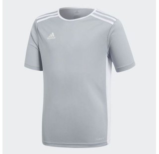 Чоловіча футболка Adidas Afa H Preshi CF1546