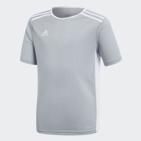 Чоловіча футболка Adidas Afa H Preshi CF1546_image_1