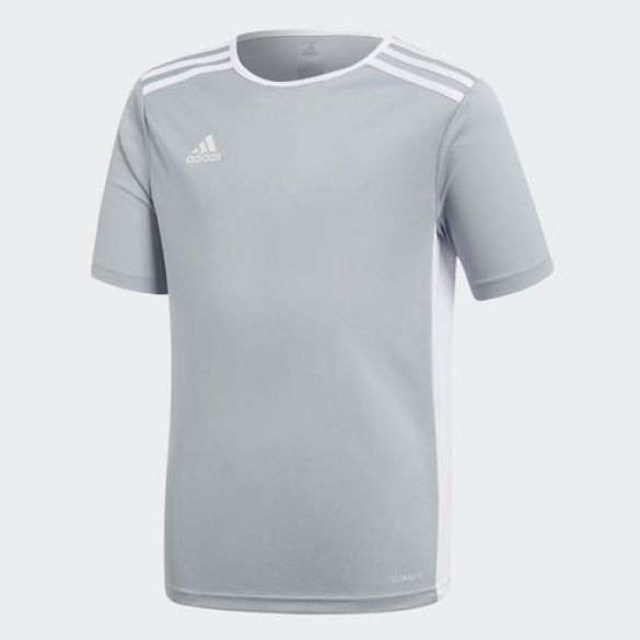 Мужская футболка Adidas Afa H Preshi CF1546_image_1