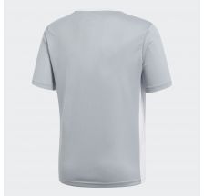 Чоловіча футболка Adidas Afa H Preshi CF1546
