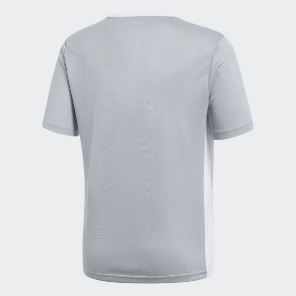 Мужская футболка Adidas Afa H Preshi CF1546_image_2