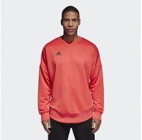 Мужская толстовка Adidas Tan Terry Jsy L CG1833_image_8