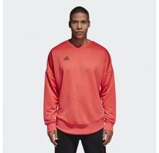 Чоловіча толстовка Adidas Tan Terry Jsy L CG1833