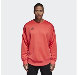 Чоловіча толстовка Adidas Tan Terry Jsy L CG1833