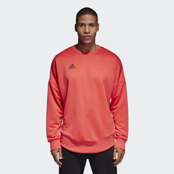Чоловіча толстовка Adidas Tan Terry Jsy L CG1833_image_1
