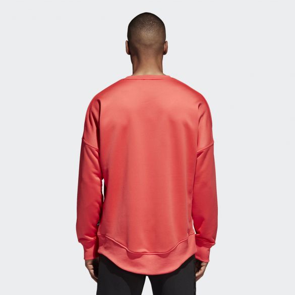 Чоловіча толстовка Adidas Tan Terry Jsy L CG1833_image_3