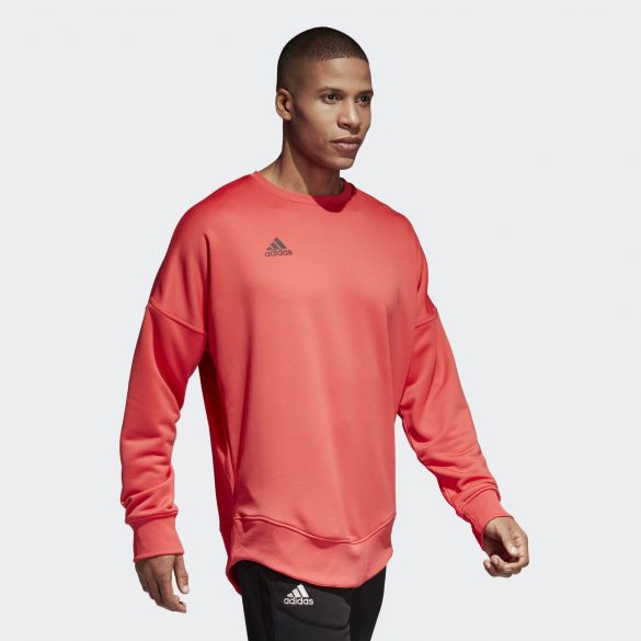 Чоловіча толстовка Adidas Tan Terry Jsy L CG1833_image_4