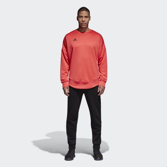 Чоловіча толстовка Adidas Tan Terry Jsy L CG1833_image_5