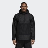 Чоловіча вітровка Adidas Tan Windbreaker CW7423_image_1