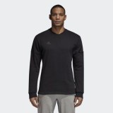 Мужской джемпер Adidas Tan Swt Jsyls CW7425_image_1