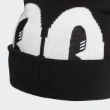 Чоловіча шапка - біні Adidas Originals Logo DW6716_image_3