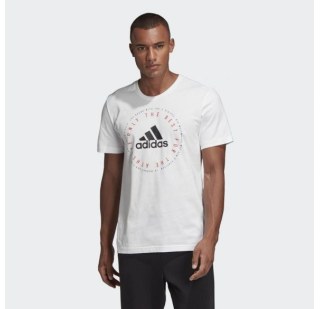 Мужская футболка Adidas Emblem DV3100