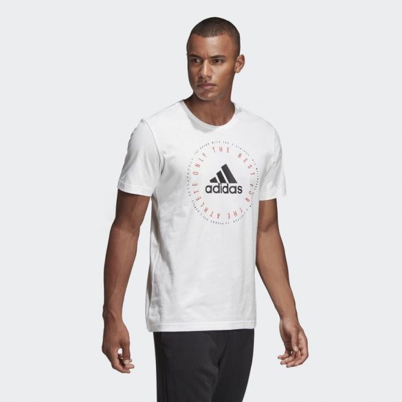 Мужская футболка Adidas Emblem DV3100_image_4