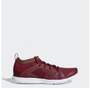  Жіночі кросівки Adidas CrazyTrain Pro AC7558