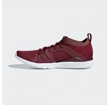 Жіночі кросівки Adidas CrazyTrain Pro AC7558