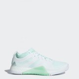 Жіночі кросівки Adidas CrazyTrain Elite W AC8252_image_1