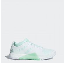 Жіночі кросівки Adidas CrazyTrain Elite W AC8252