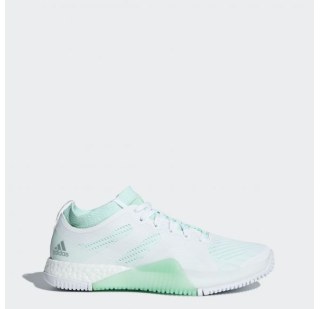 Жіночі кросівки Adidas CrazyTrain Elite W AC8252