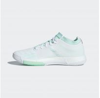 Женские кроссовки Adidas CrazyTrain Elite W AC8252_image_9