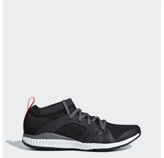 Жіночі кросівки Adidas CrazyTrain Pro AC8515