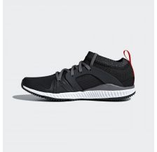 Жіночі кросівки Adidas CrazyTrain Pro AC8515