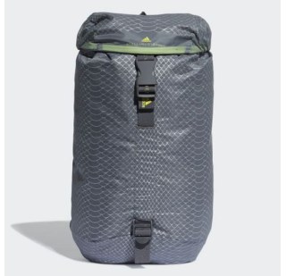 Рюкзак Adidas Adz Backpack S DM3438