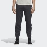 Мужские флисовые брюки Adidas M Sid Lgo Pt Fl DM4320_image_1