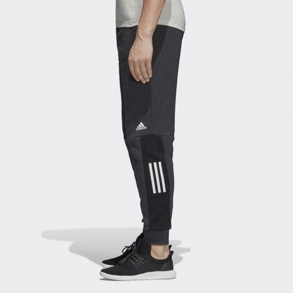 Мужские флисовые брюки Adidas M Sid Lgo Pt Fl DM4320_image_2