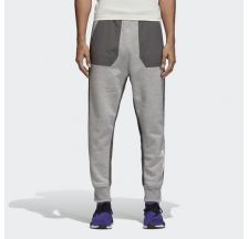 Чоловічі спортивні штани Adidas Nmd Sweat Pant DH2274