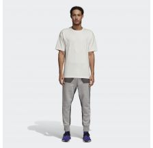 Чоловічі спортивні штани Adidas Nmd Sweat Pant DH2274