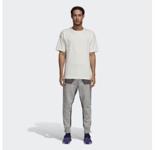 Чоловічі спортивні штани Adidas Nmd Sweat Pant DH2274
