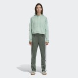 Толстовка жіноча Adidas Originals Cropped Hoodie DH3131_image_1