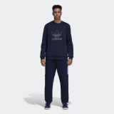 Чоловічий джемпер Adidas Originals Outline Crew DH5761_image_1