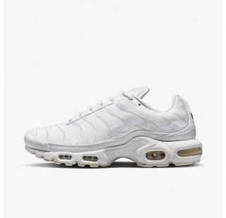 Мужские кроссовки Nike Air Max Plus AJ2029-100